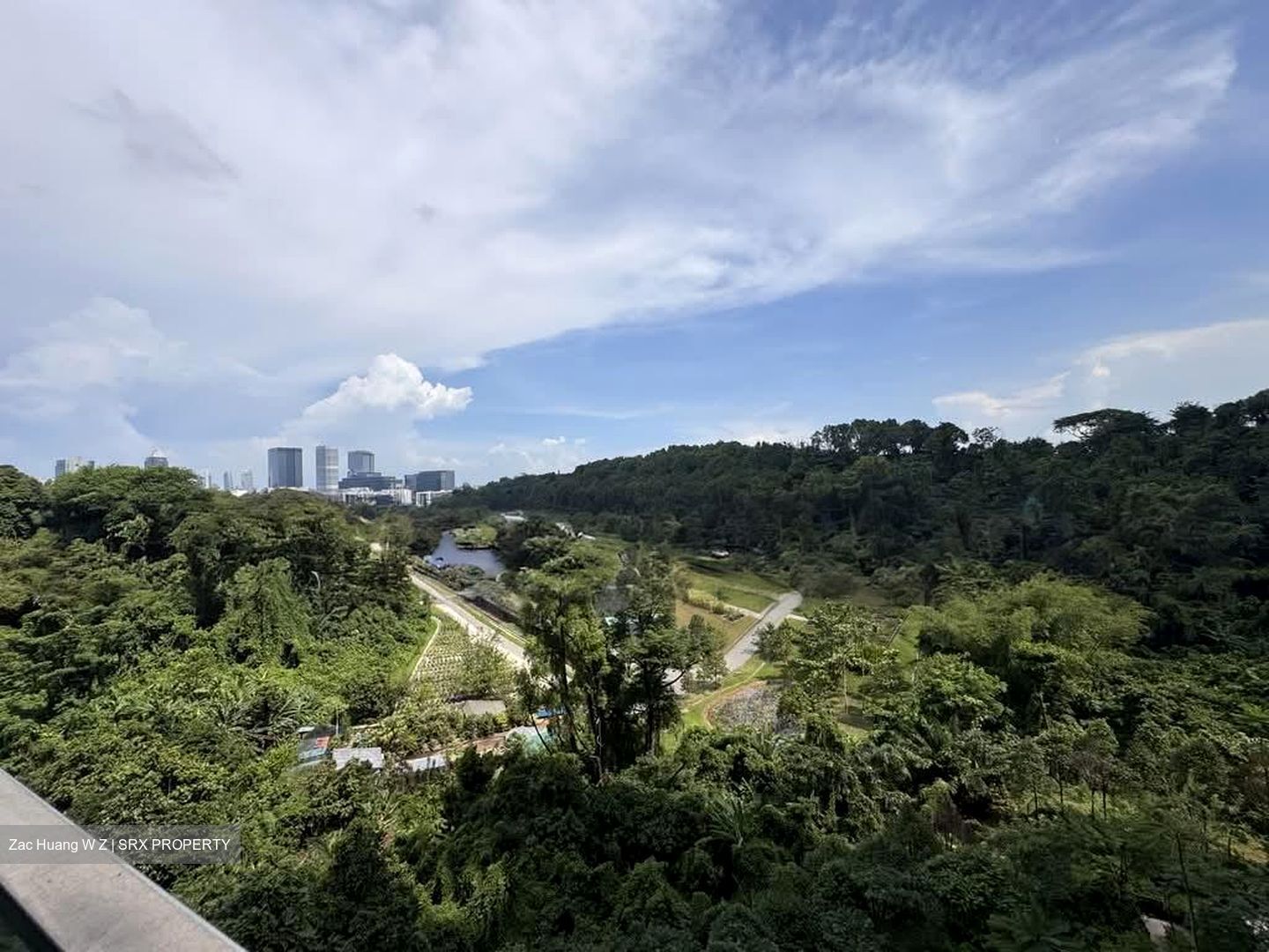 Normanton Park (D5), Apartment #557838231